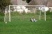 DSC_9776.jpg