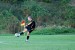 DSC_9441.jpg