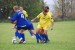 DSC_0433.jpg
